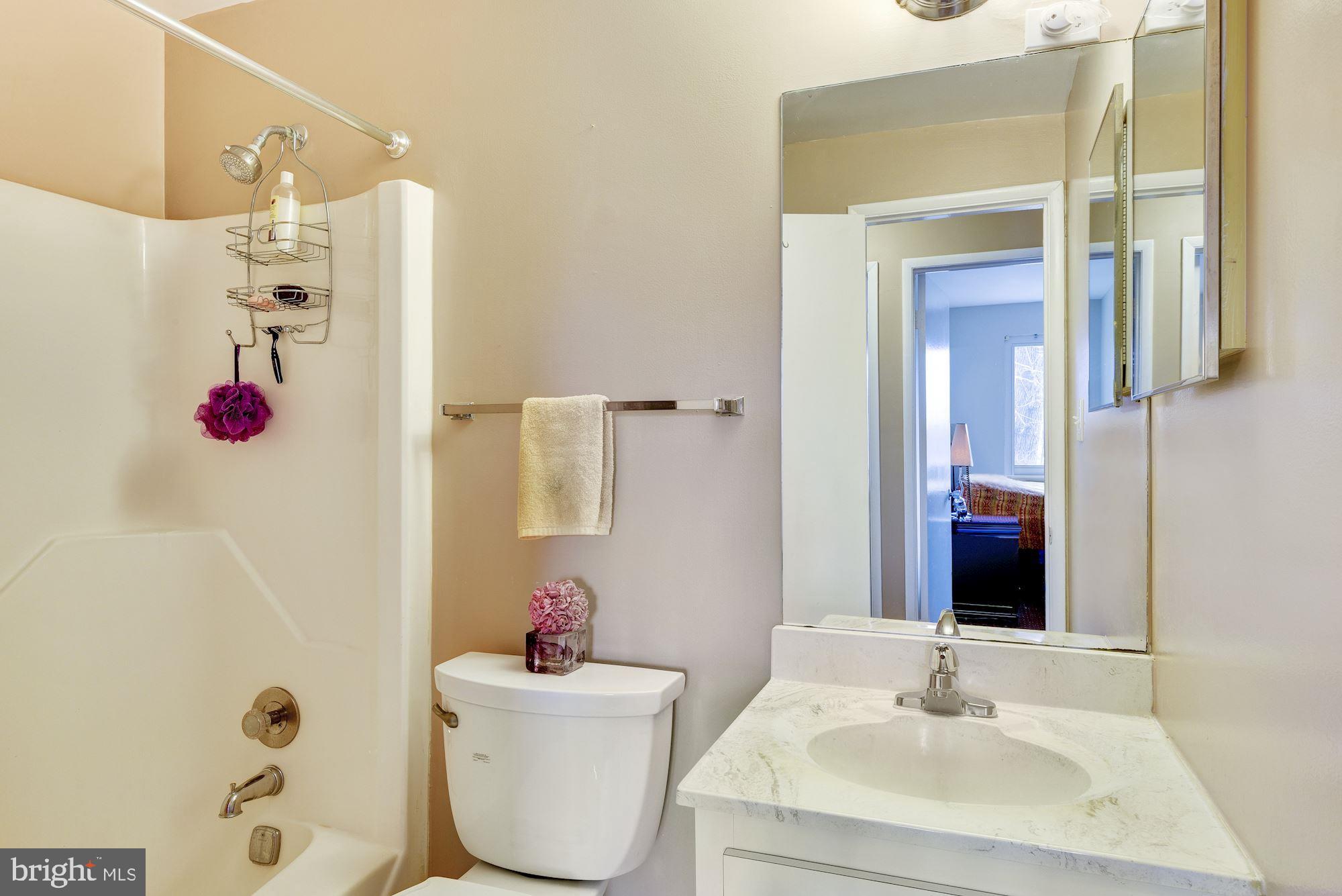 14916 Chestnut Ridge Court Gaithersburg, MD 20878 - Photo 24 of 36 Hall Bath