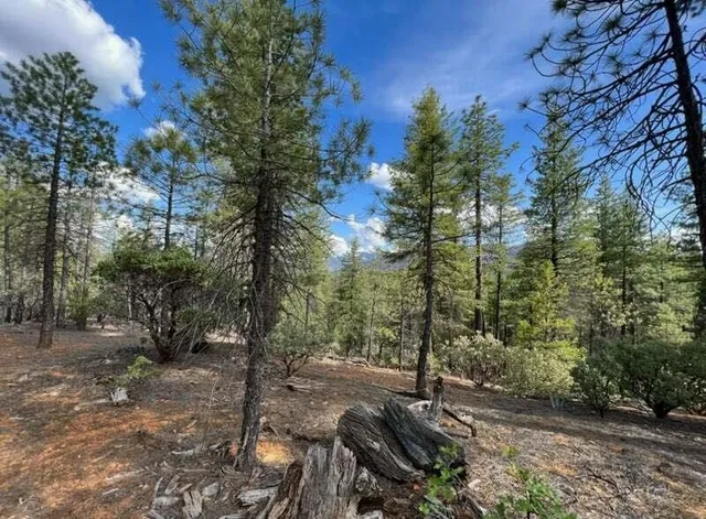 a view of outdoor space and yard