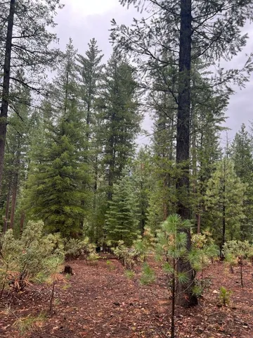 a view of a city with lots of green space