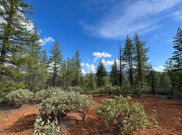 $89,000 | 876 Blue Knoll Road, Greenville, CA 95947