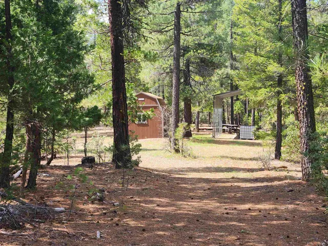 a view of yard with tree