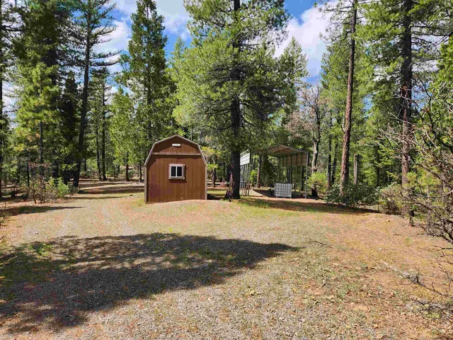 a view of a backyard with large trees