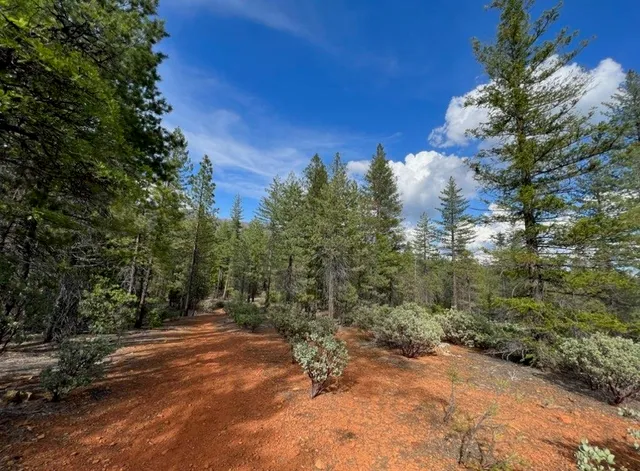 a view of outdoor space with trees