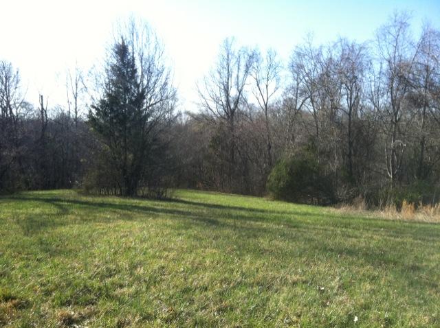 2 Gholson Road Clarksville, TN 37043 - Photo 2 of 16