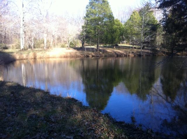 2 Gholson Road Clarksville, TN 37043 - Photo 13 of 16
