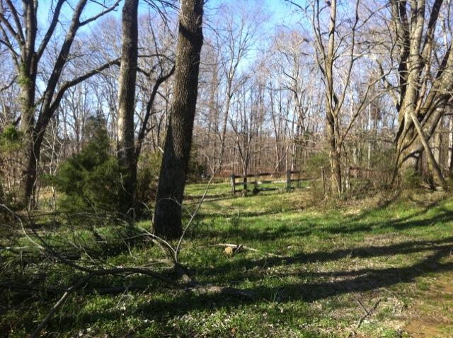 2 Gholson Road Clarksville, TN 37043 - Photo 5 of 16