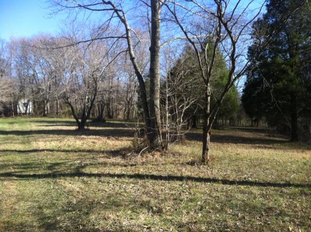 2 Gholson Road Clarksville, TN 37043 - Photo 6 of 16