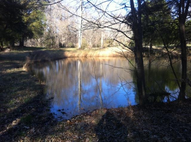 2 Gholson Road Clarksville, TN 37043 - Photo 8 of 16