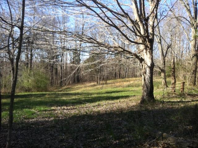 2 Gholson Road Clarksville, TN 37043 - Photo 10 of 16