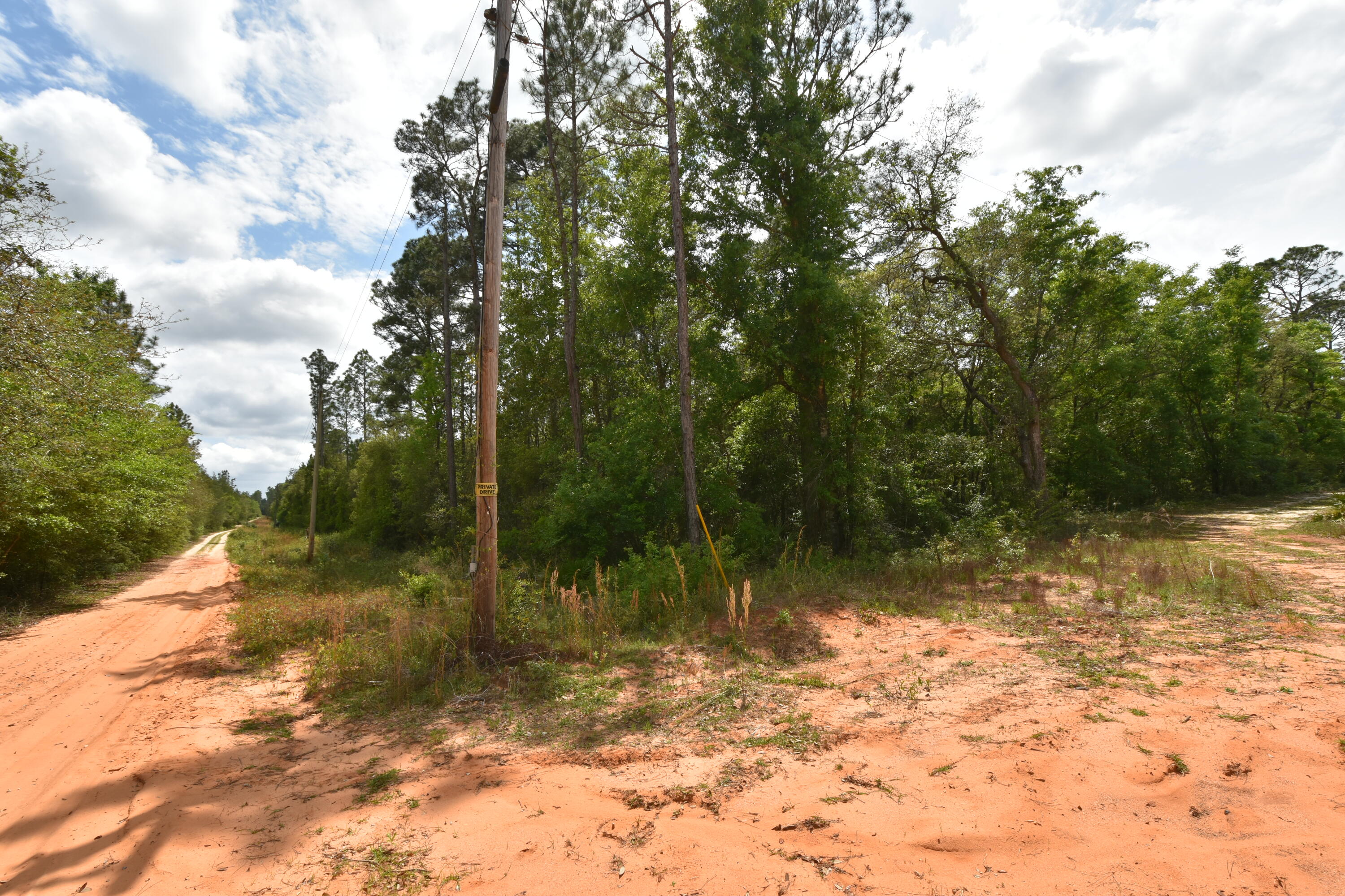 4304 Nap Knob Holt, FL 32564 - Photo 15 of 21 a view of a yard with a tree