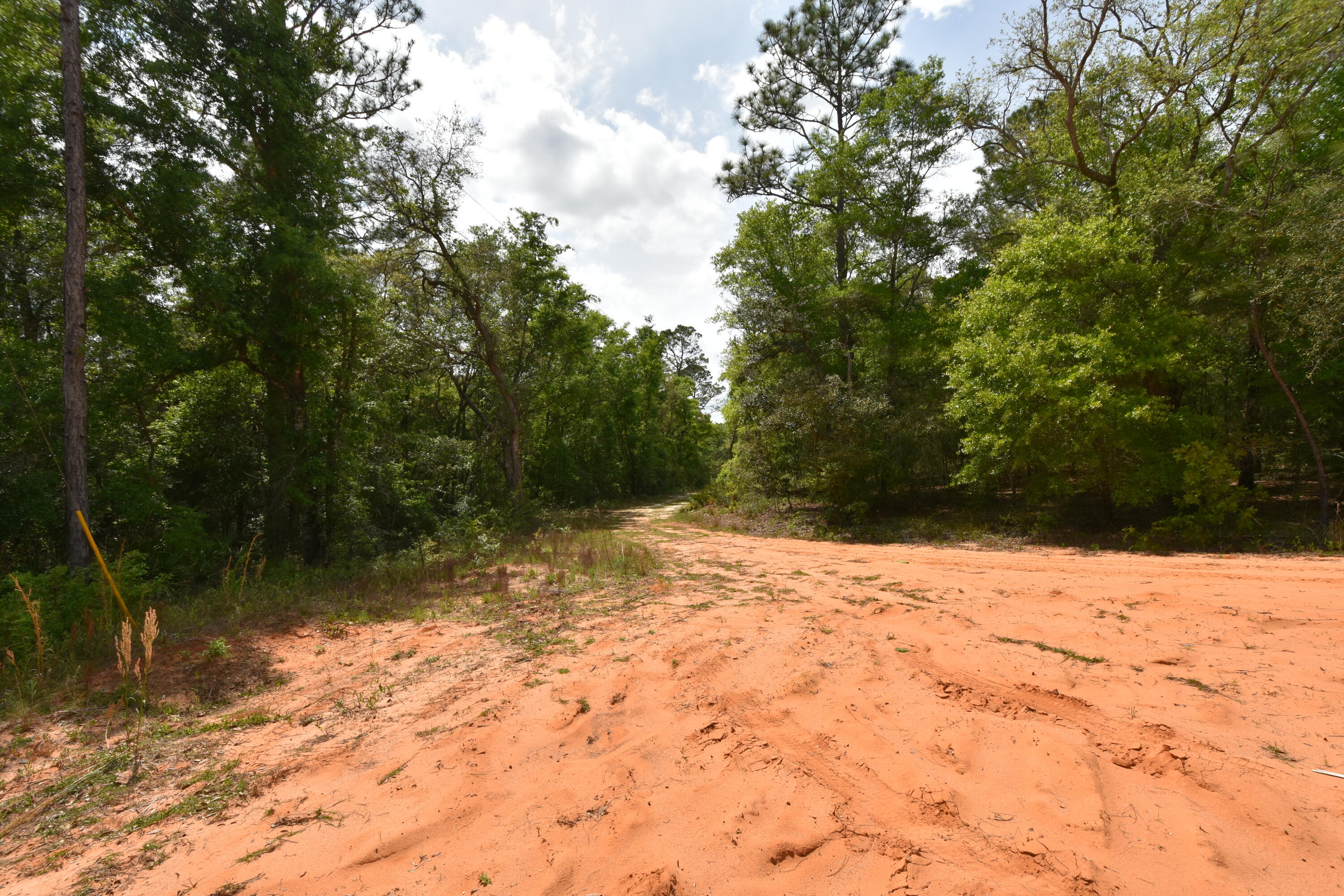 4304 Nap Knob Holt, FL 32564 - Photo 16 of 21 a view of a yard covered with snow in outdoor space