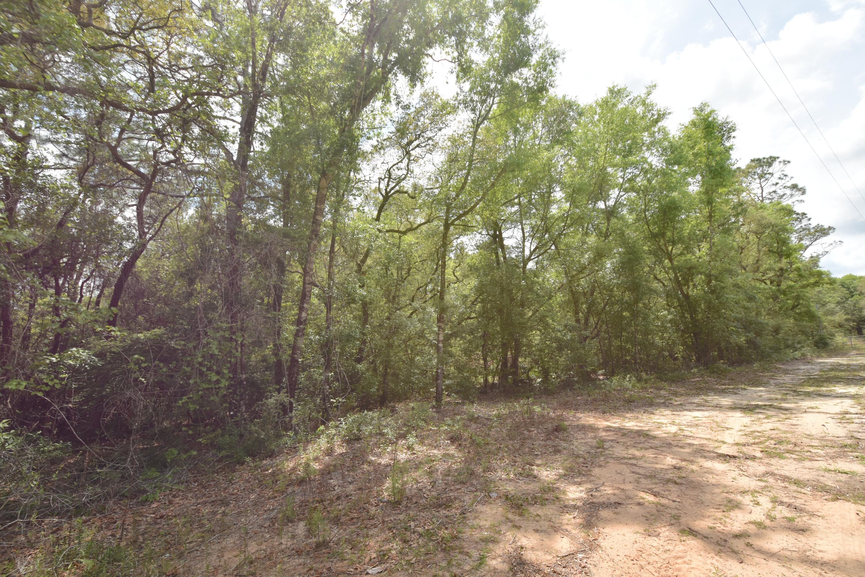 4304 Nap Knob Holt, FL 32564 - Photo 17 of 21 a view of backyard with green space