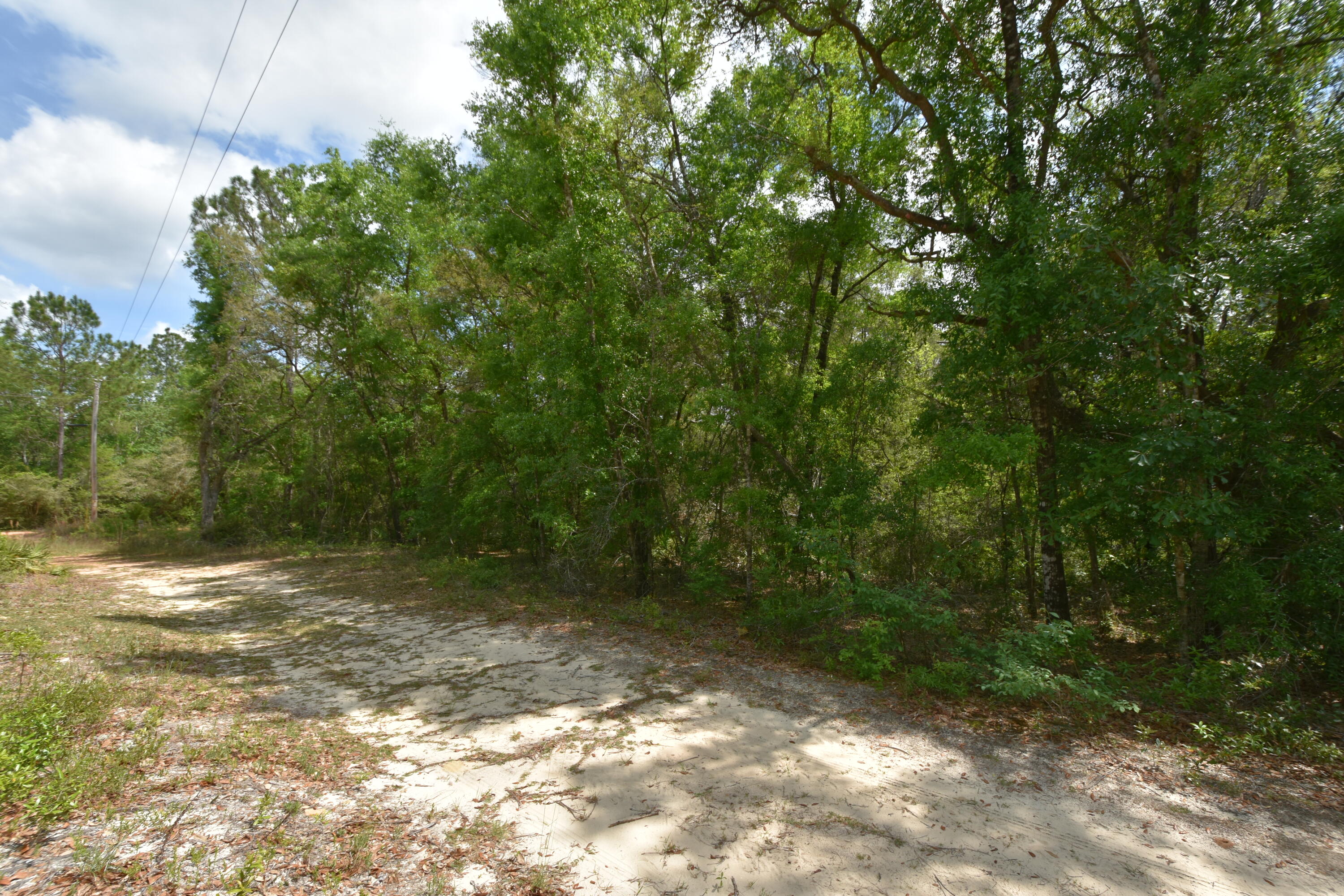 4304 Nap Knob Holt, FL 32564 - Photo 21 of 21 a view of a yard with a tree