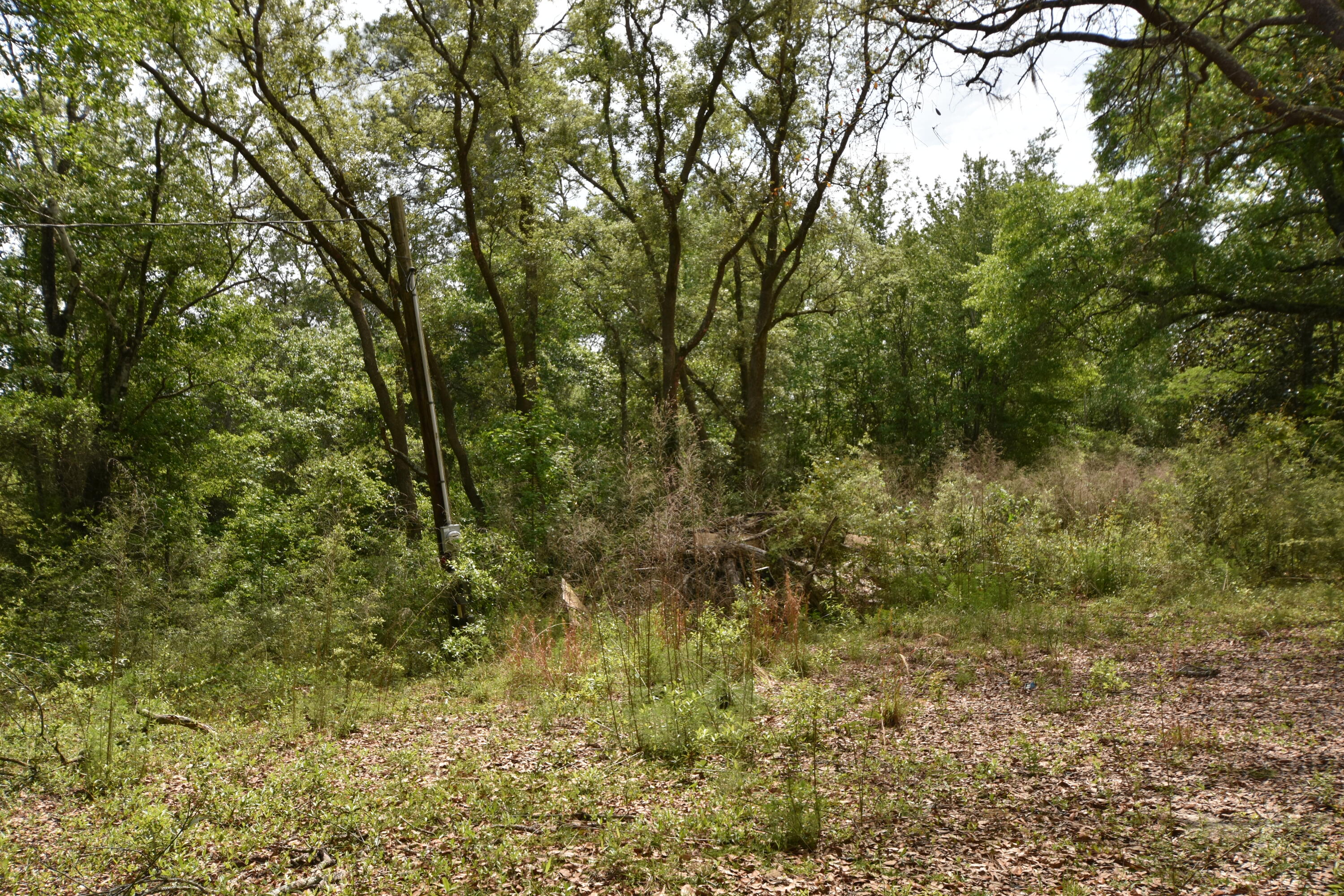 4304 Nap Knob Holt, FL 32564 - Photo 3 of 21 a view of a yard with a tree