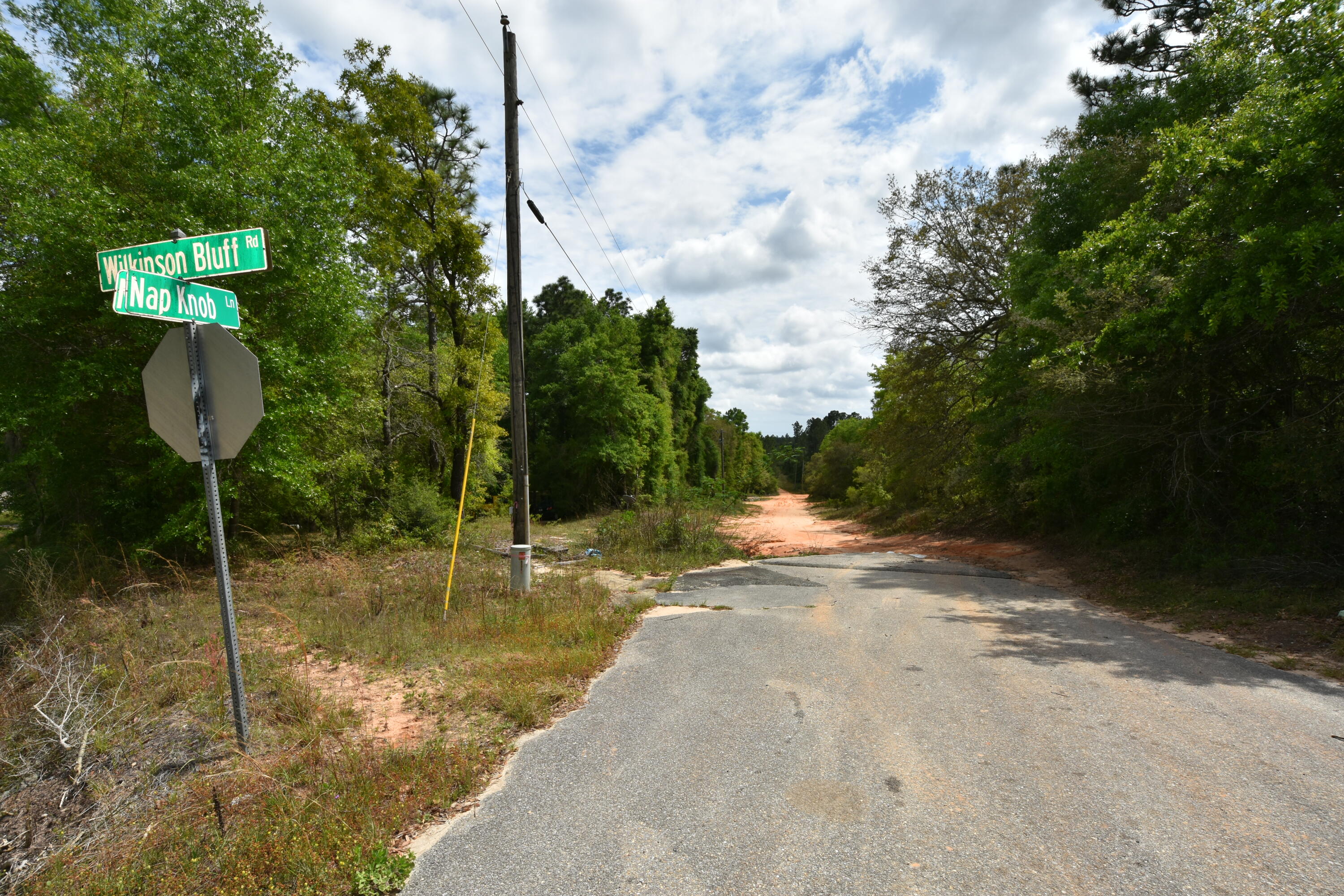 4304 Nap Knob Holt, FL 32564 - Photo 4 of 21 a backyard of a house with lots of green space