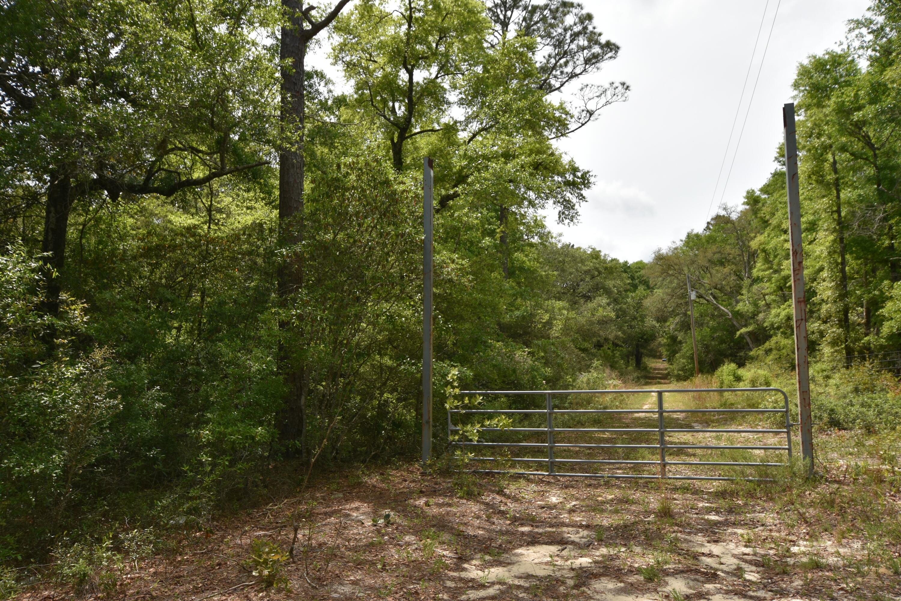 4304 Nap Knob Holt, FL 32564 - Photo 6 of 21