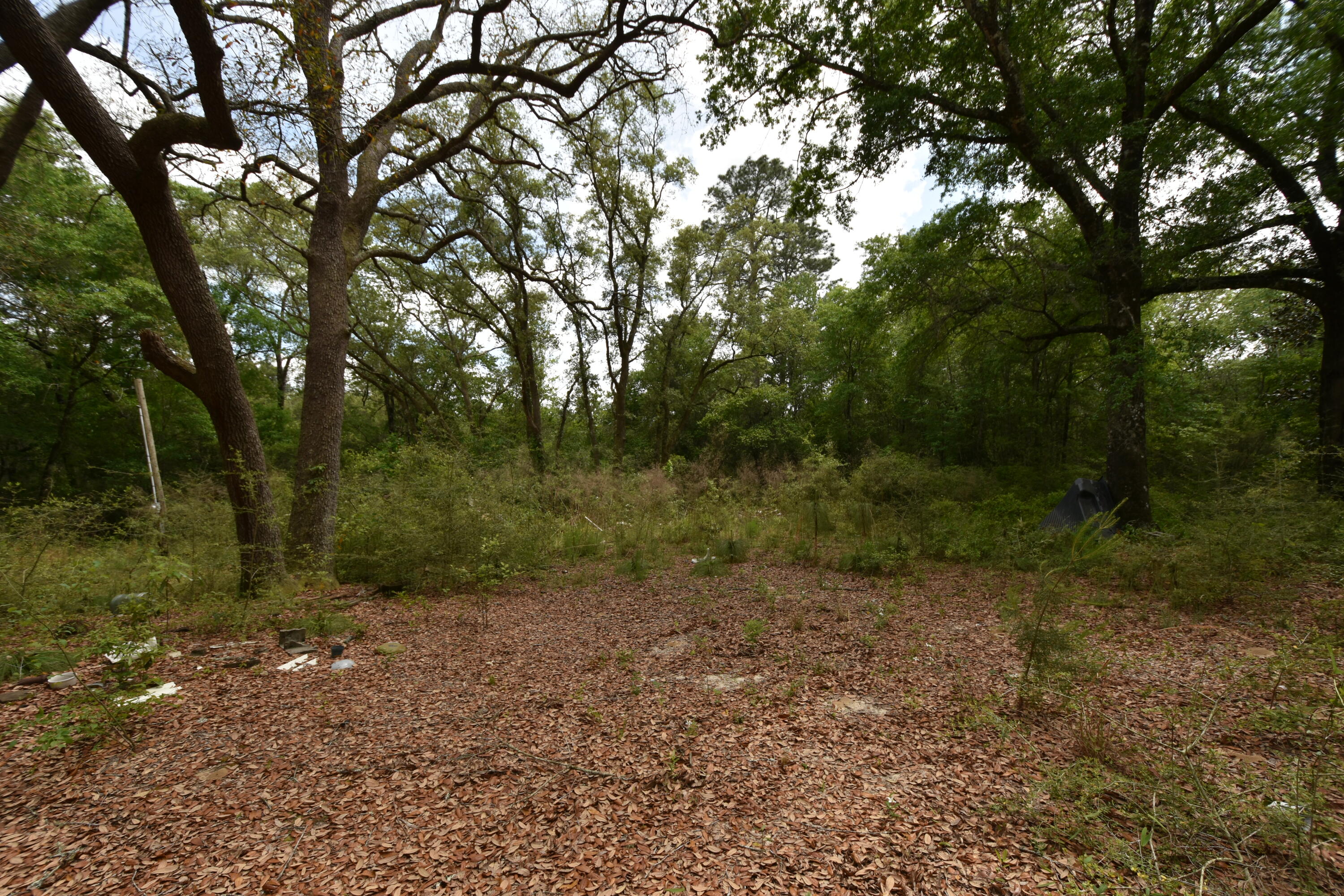 4304 Nap Knob Holt, FL 32564 - Photo 8 of 21 a view of a forest with trees in the background