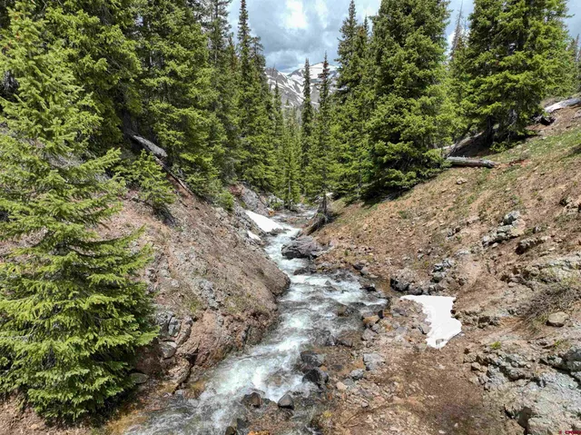 a view of a plant with a yard