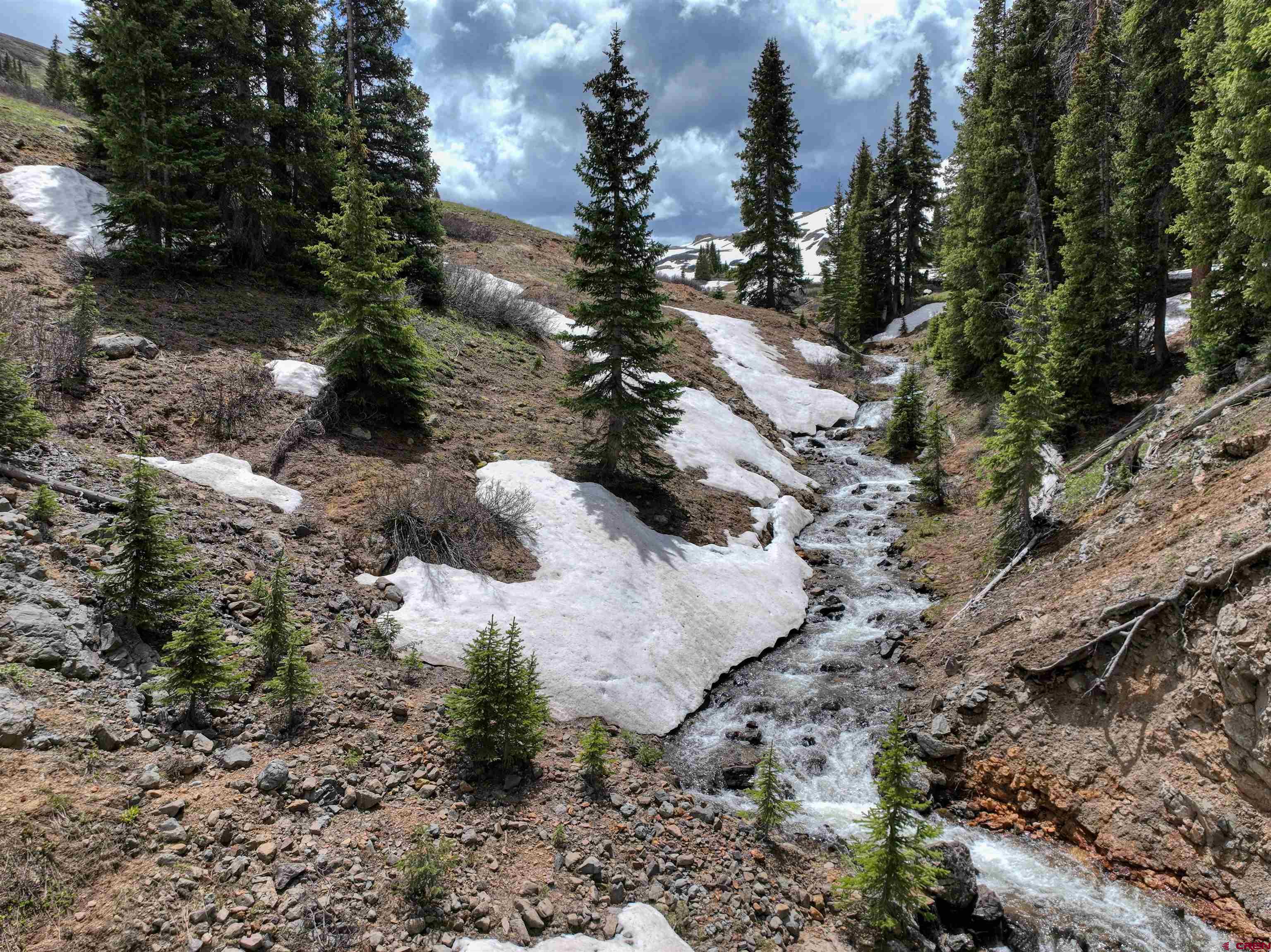 Tbd Tbd U S Basin Road Silverton, CO 81433 - Photo 2 of 10 a view of a forest with a tree