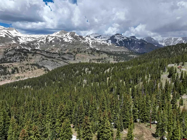 a view of a of a yard