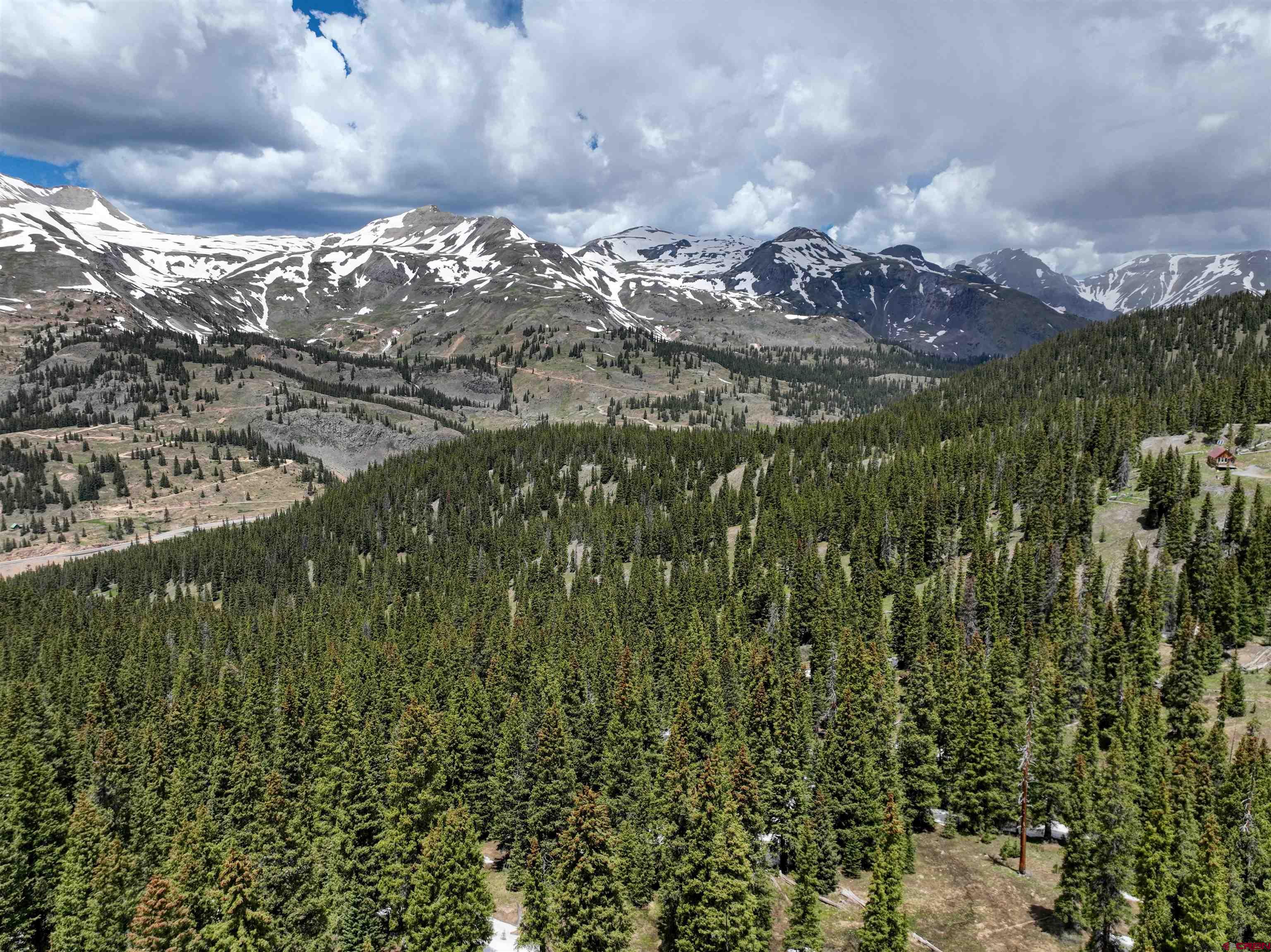 Tbd Tbd U S Basin Road Silverton, CO 81433 - Photo 4 of 10 a view of a of a yard