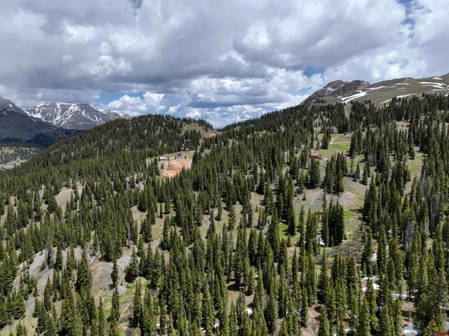 a view of a city with lush green forest