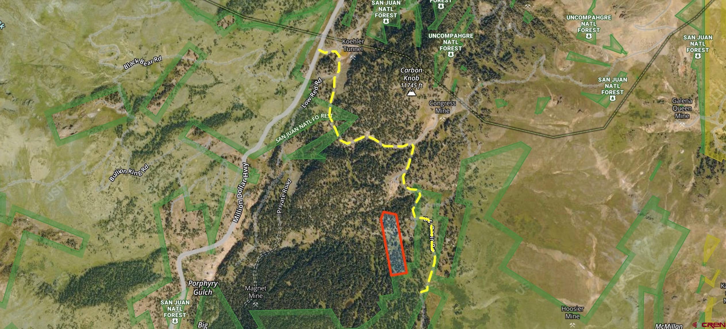 Tbd Tbd U S Basin Road Silverton, CO 81433 - Photo 9 of 10 a close up of a plant in a garden