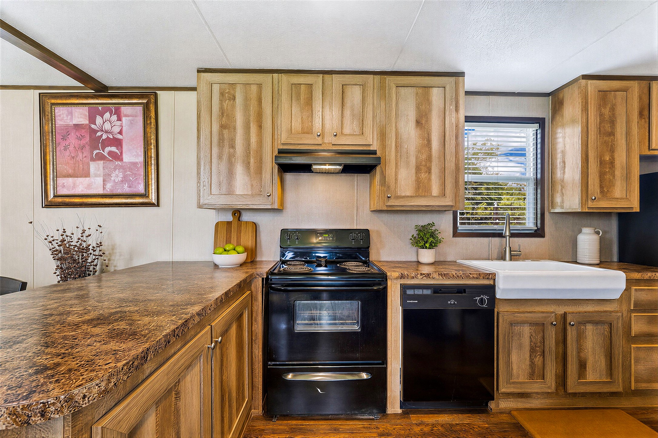 935 Lower Red Rock Road Bastrop, TX 78602 - Photo 8 of 25 Kitchen featuring ample counter space, abundant cabinetry, and an efficient layout for culinary tasks.