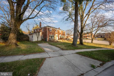 a view of a yard with tree s