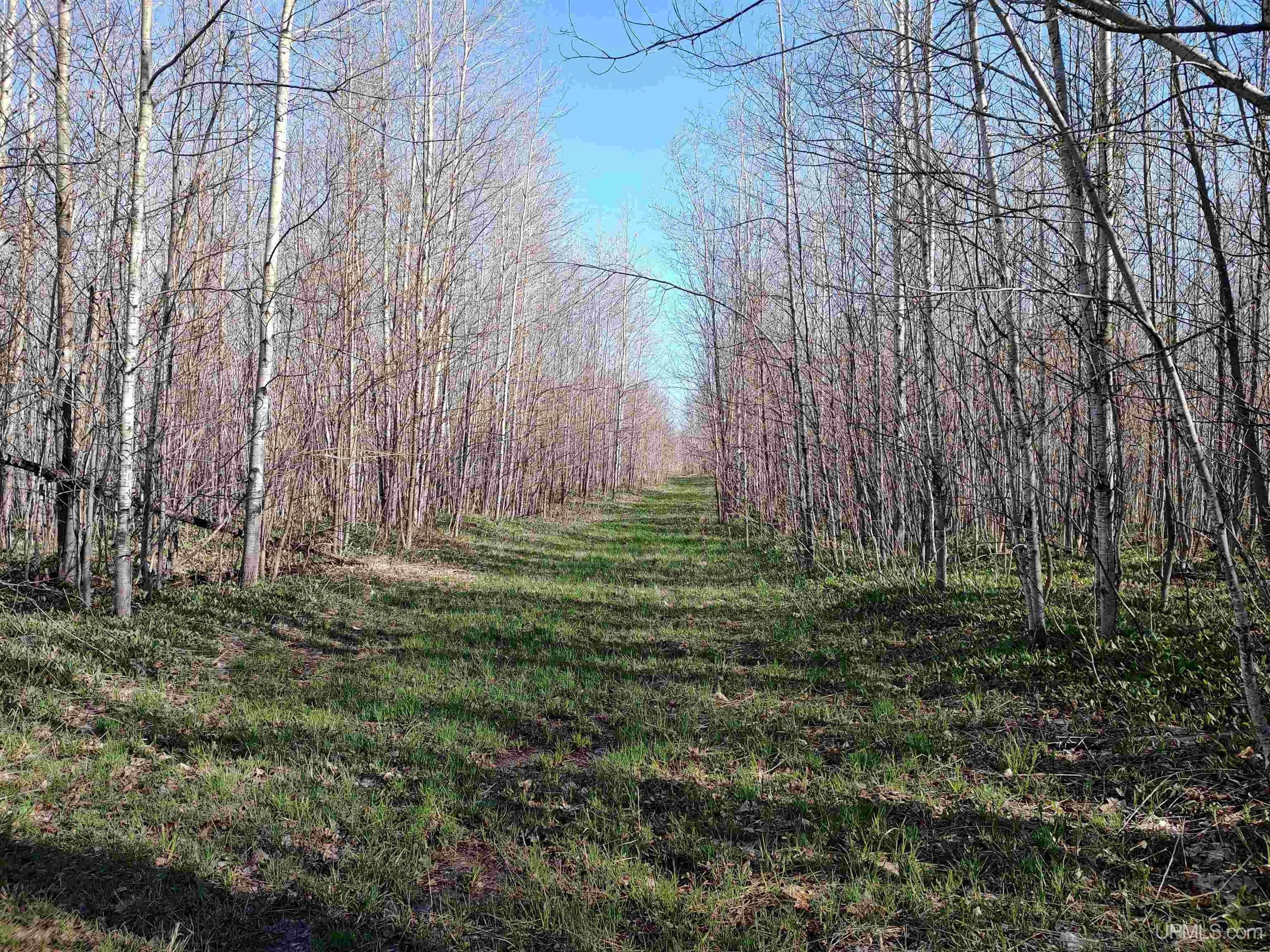 Tbd Tbd Schooner Road Ontonagon, MI 49953 - Photo 1 of 44