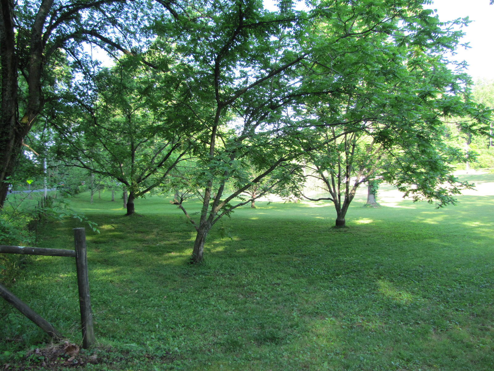 5105 Hubbard Road Loudon, TN 37774 - Photo 17 of 43 IMG_5252