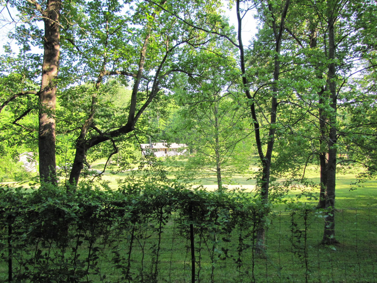 5105 Hubbard Road Loudon, TN 37774 - Photo 19 of 43 IMG_5254
