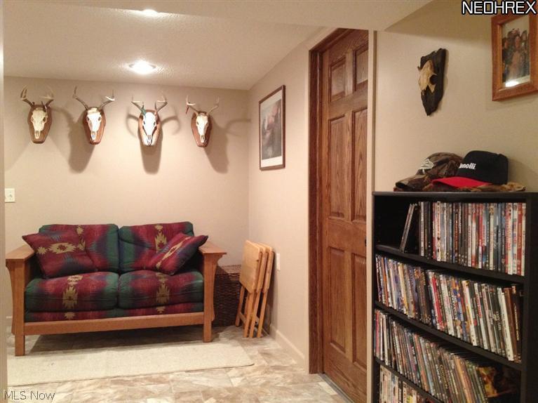 9135 Coon Club Road Medina, OH 44256 - Photo 15 of 21 Lower level rec room play area