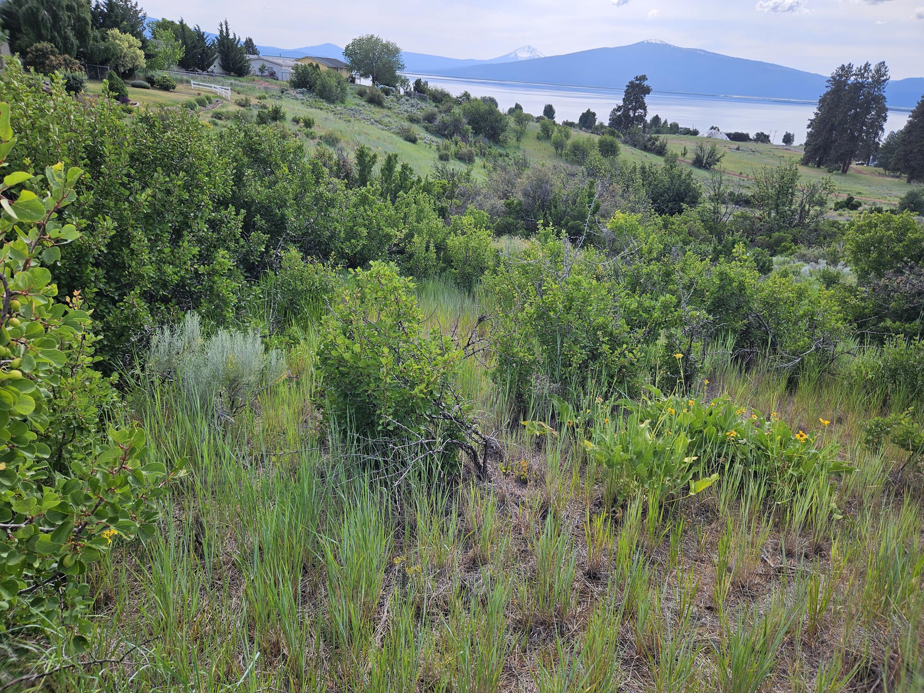 0 Pleasant View Road, Unit LOT 37 Chiloquin, OR 97624 - Photo 12 of 15