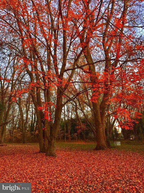 8 Meadow Drive Moorestown, NJ 08057 - Photo 3 of 36 a view of backyard space