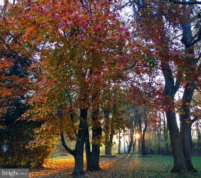 8 Meadow Drive Moorestown, NJ 08057 - Photo 36 of 36 a view of tree next to a yard
