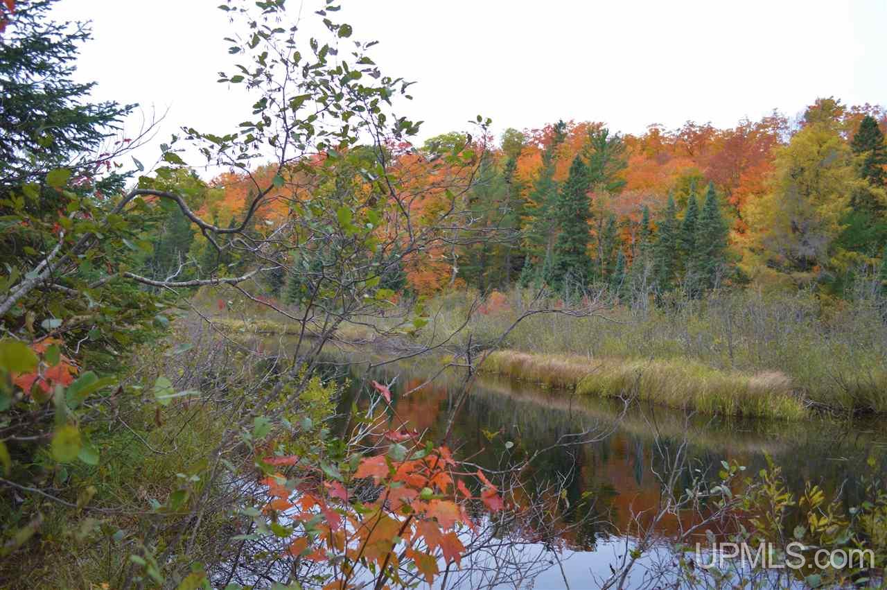 Tbd Peshekee Grade Road Skanee, MI 49962 - Photo 3 of 35