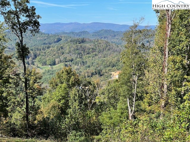 Mcneill Road Lansing, NC 28643 - Photo 12 of 18