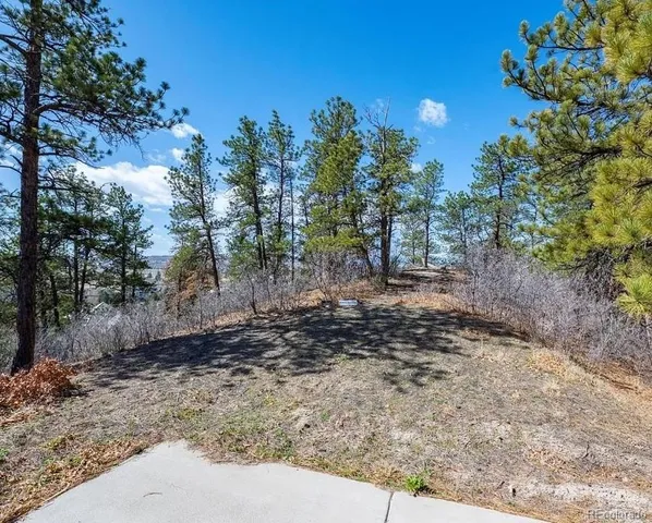 a view of a yard with trees in the background