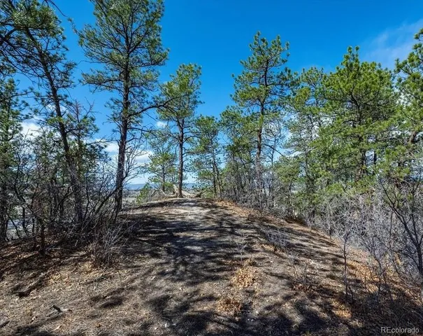 a big yard with lots of green space