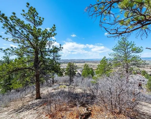 a view of a yard with plants and a large tree