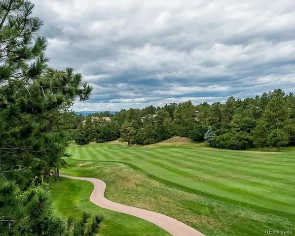 a view of a grassy field with trees