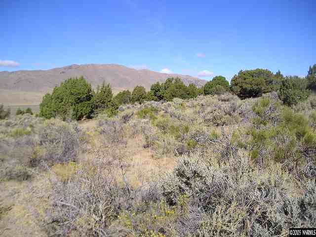 1235 Argonaught Way Reno, NV 89506 - Photo 6 of 7 a view of a mountain range with trees in the background