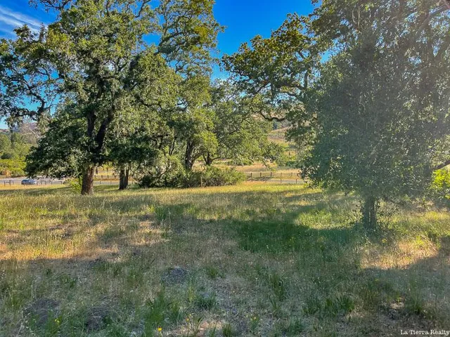 a view of yard with trees