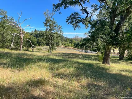 a view of yard with green space