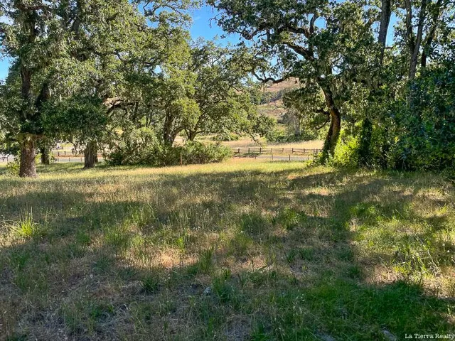 a view of a yard with a tree