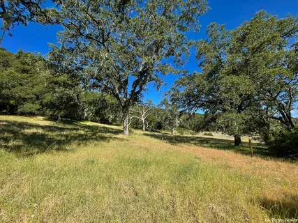 a view of a yard with swimming pool