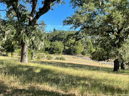 a view of yard with green space