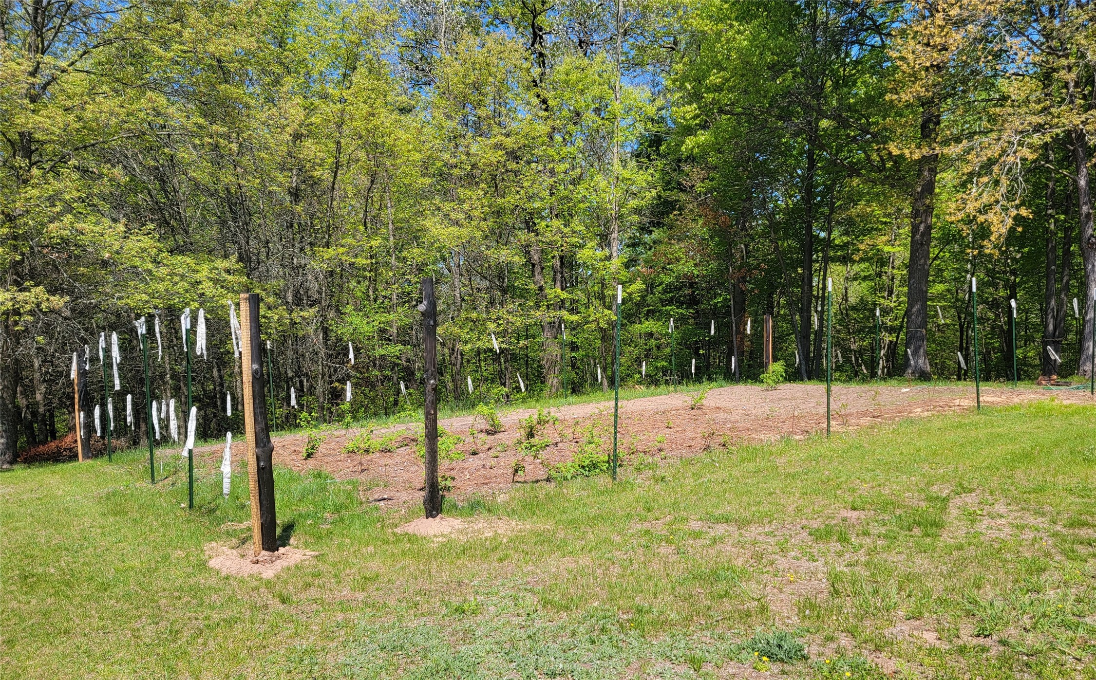 5154 County Road X Webster, WI 54893 - Photo 27 of 34
