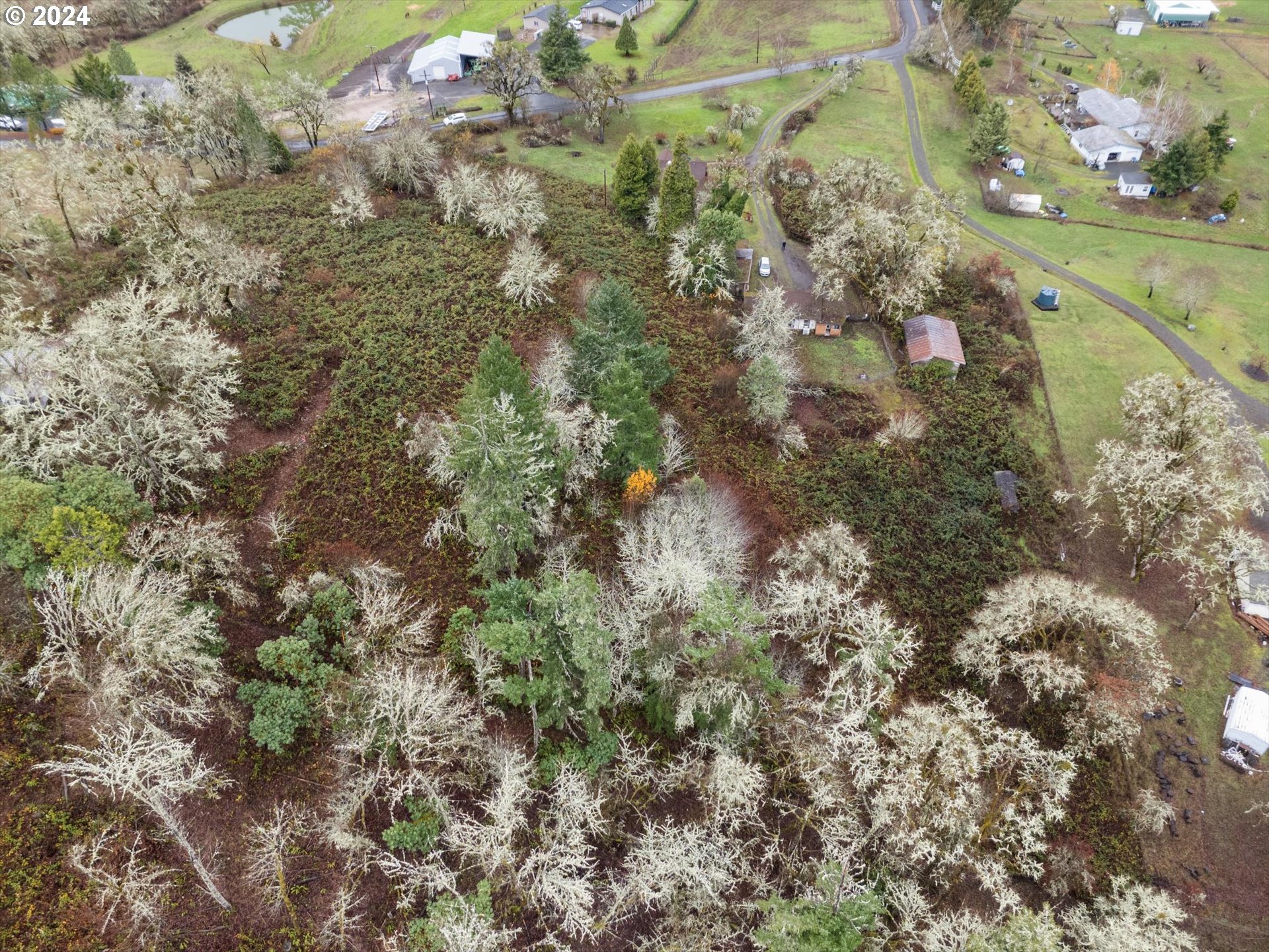774 Plat B Road Sutherlin, OR 97479 - Photo 30 of 38